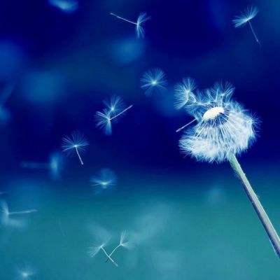 江南体育官方网址