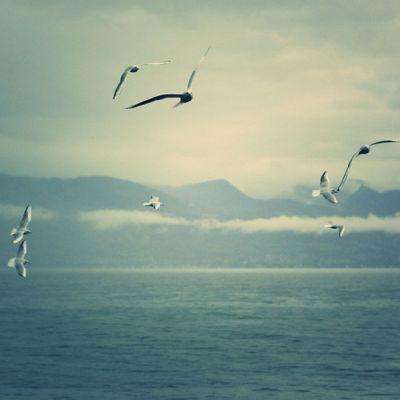 幸运快3在线官网官网网站截图