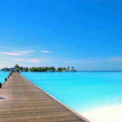 澳门·威斯尼斯wns888入口手机app下载