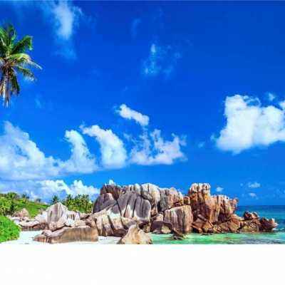 一肖三码手机app下载