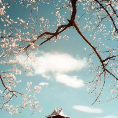 49图库资料免费大全资料澳门手机app下载